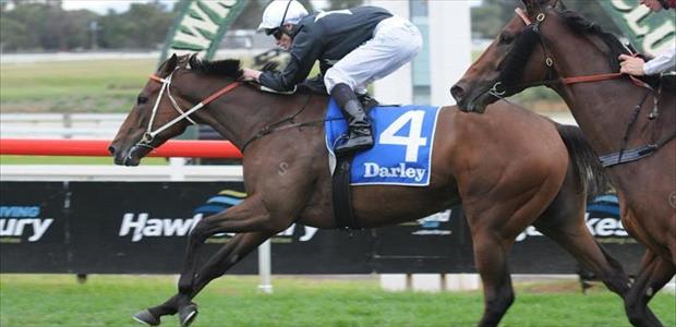 Leebaz - Hawkesbury - 03/05/2014